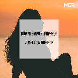 [Playlist] Downtempo/Trip-Hop/Mellow Hip-Hop Instrumental