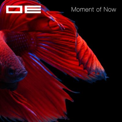 OE - Moment of Now