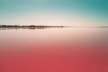 Red-ocean-Blue-ocean