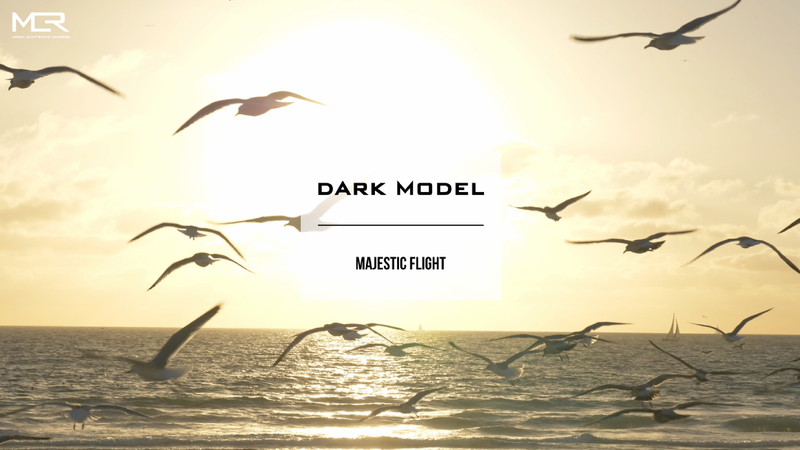 Dark Model - Majestic Flight 1