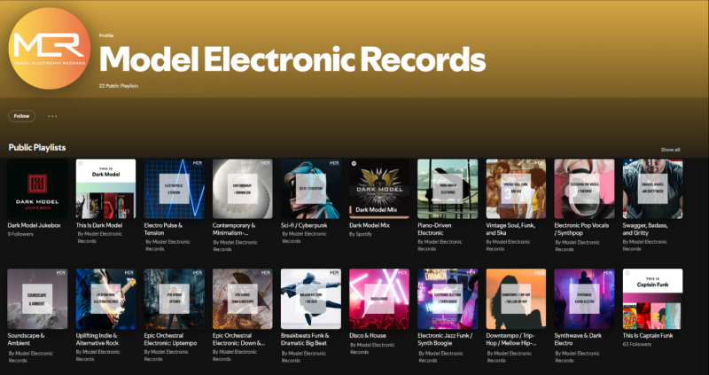 Model Electronic Records - Spotify Created